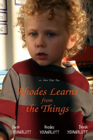 Rhodes Learns from the Things (2015)